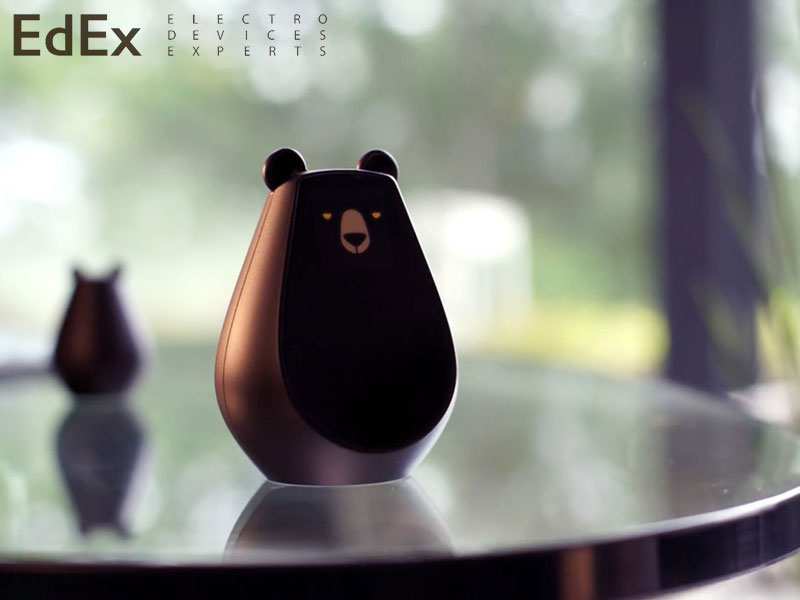 Bearbot – медведь контролирует умный дом